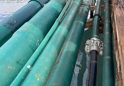 El papel de Pexgol en la mejora de las operaciones de Guaymas Protein.